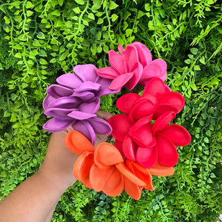 Pique à cheveux - Torutipanie