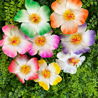 Pique à cheveux - Hibiscus Dégradé