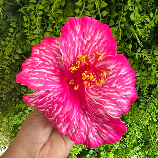 Pique à cheveux - Hibiscus Heivanui