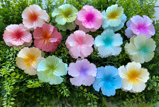 Pince crabe Hibiscus - Pastel - 7cm