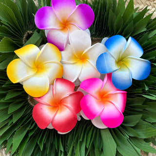 Pince crabe " Tipanie " - 9,5cm