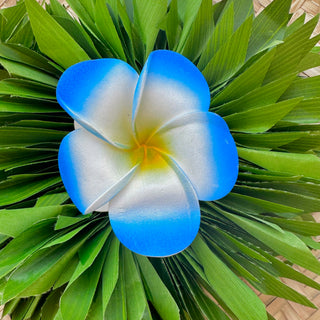 Pince crabe " Tipanie " - 9,5cm