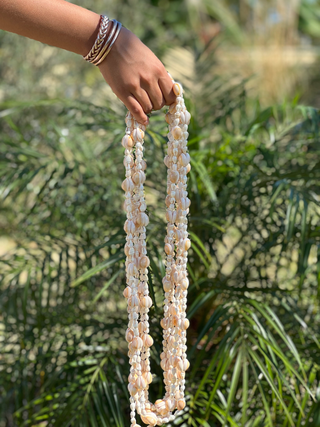 Collier de coquillage "MONETA RAHI NUI"