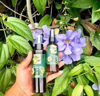 Huile pure de Tamanu 100% Naturelle