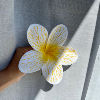 Tipanie Rarahi Blanc