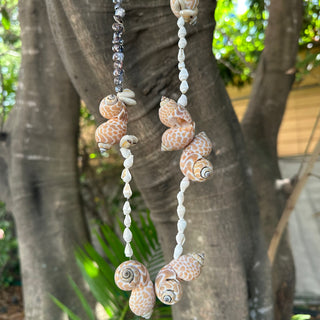 Collier de coquillages