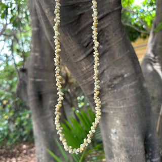 Collier de coquillages