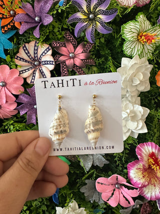 Boucles d’oreilles coquillage naturel "Pupunui" - Acier inoxydable