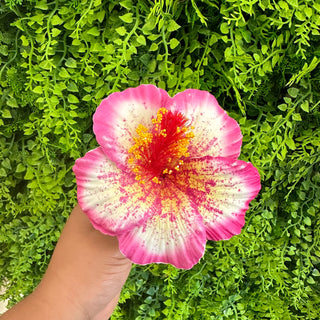 Pique à cheveux - Hibiscus ‘Opatapata