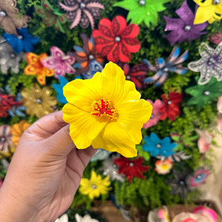 Pince crocodile - Hibiscus