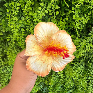 Pique à cheveux - Hibiscus ‘Opatapata