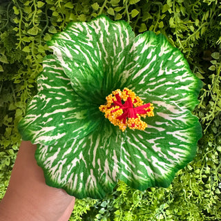 Pique à cheveux - Hibiscus Heivanui