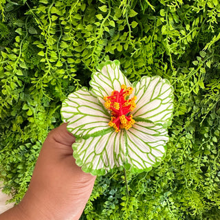 Pique à cheveux - Hibiscus Hina