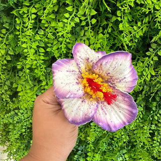 Pique à cheveux - Hibiscus ‘Opatapata