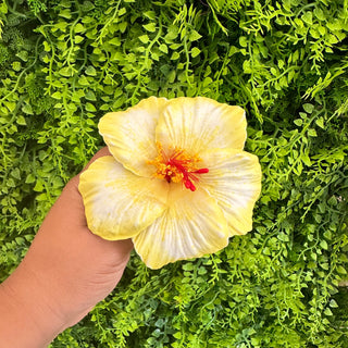 Pique à cheveux - Hibiscus ‘Opatapata
