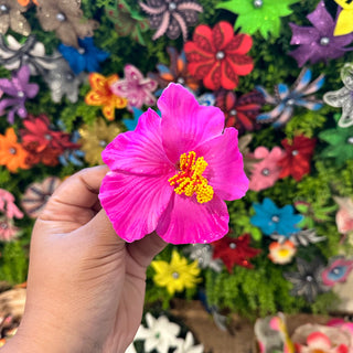 Pince crocodile - Hibiscus