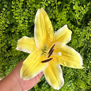 Pince crocodile - Fleur de lys