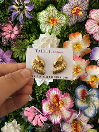 Boucles d’oreilles coquillage "Mahina" - Acier inoxydable