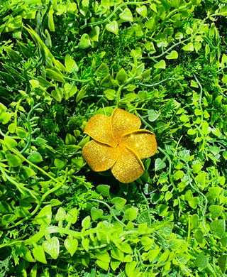 Pique à  cheveux- Tipanie Pēpe Shiny