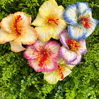 Pique à cheveux - Hibiscus ‘Opatapata
