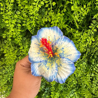 Pique à cheveux - Hibiscus ‘Opatapata