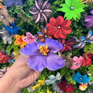 Pince crocodile - Hibiscus