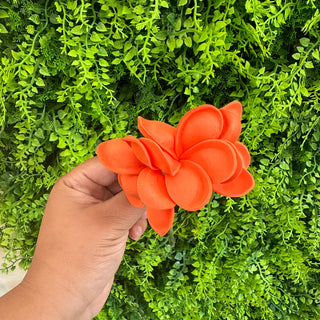 Pique à cheveux - Torutipanie