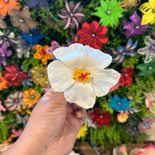 Pince crocodile - Hibiscus