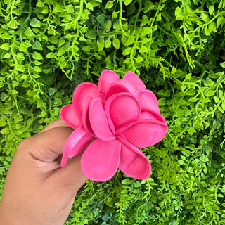 Pique à cheveux - Torutipanie