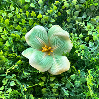 Pince Hibiscus