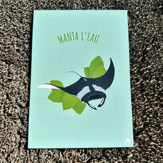 Carte postale - Manta l’eau - Dépôt vente