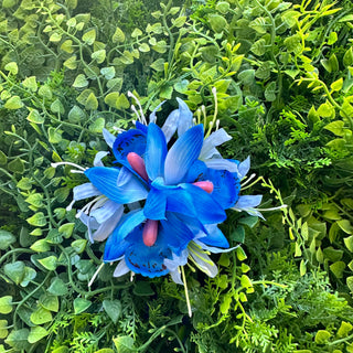 Poara - Māhina