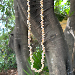 Collier de coquillages