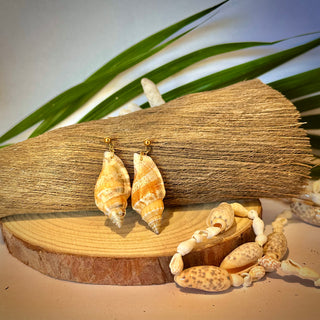 Boucles d’oreilles coquillage naturel "Pupunui" - Acier inoxydable