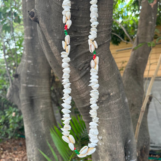 Collier de coquillages