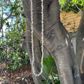 Collier de coquillage « ITI OMBONIUM »