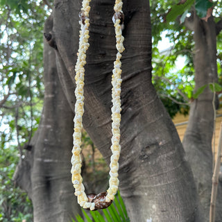 Collier de coquillages