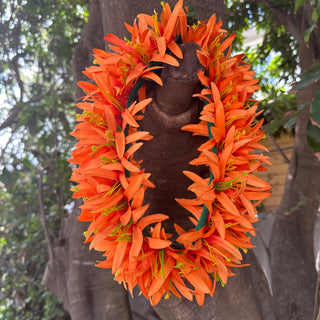 Couronne de fleur - Orange