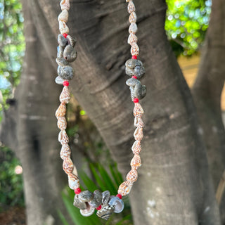 Collier de coquillages
