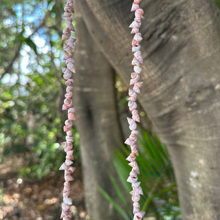 Collier de coquillages