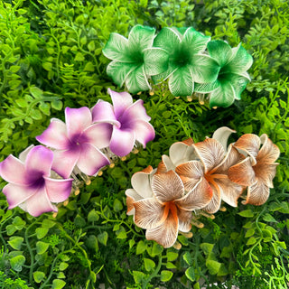 Pince crabe - Tipanie