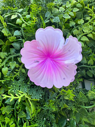 Pince crabe Hibiscus - Pastel - 7cm