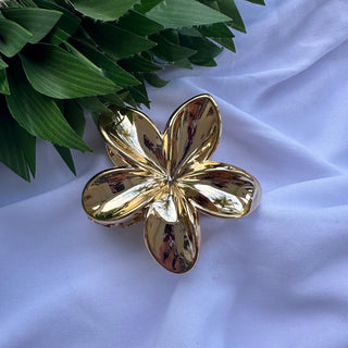 Pince crabe Tipanié - 7cm