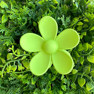 Pince crabe - Flowers - 7cm