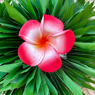 Pince crabe " Tipanie " - 9,5cm