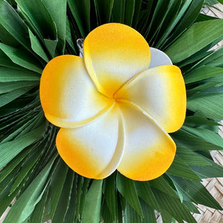 Pince crabe " Tipanie " - 9,5cm