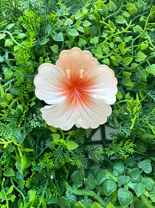 Pince crabe Hibiscus - Pastel - 7cm