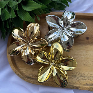 Pince crabe Tipanié - 7cm