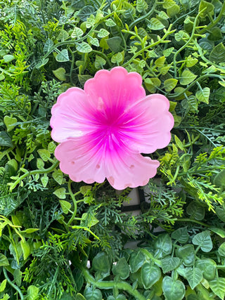 Pince crabe Hibiscus - Pastel - 7cm