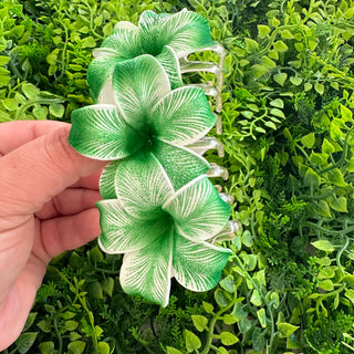 Pince crabe - Tipanie